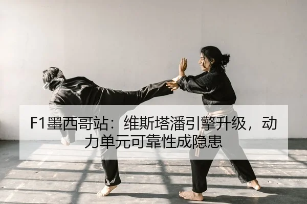mo-xi-ge-zhan-wei-si-ta-pan-yin-qing-sheng-ji-dong-li-dan-yuan-ke-kao-xing-cheng-yin-huan-2-359.jpg